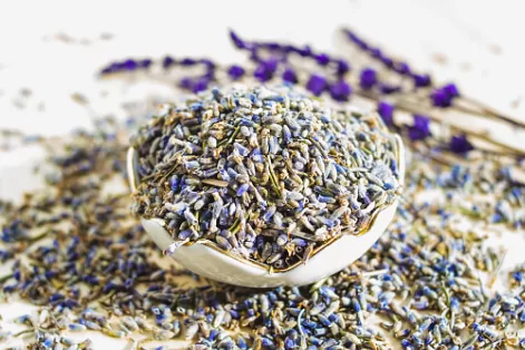 Lavanda Desidratada