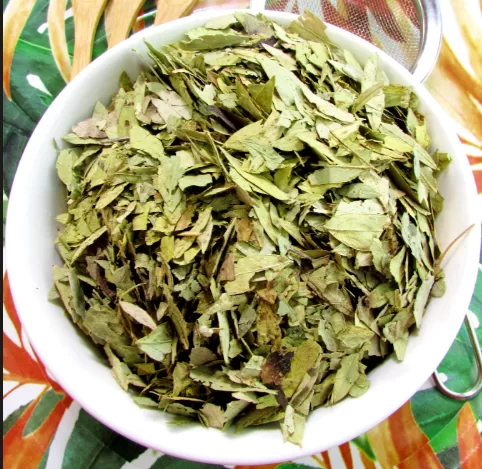 Chá de Sene (Folhas)