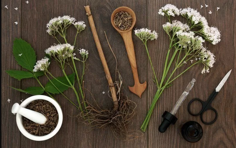 Chá de Valeriana