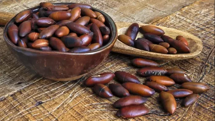 Castanha de Baru